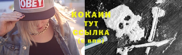 молекула духа Семёнов