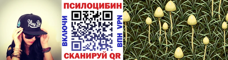 Псилоцибиновые грибы Cubensis  Купить закладки  Благовещенск 